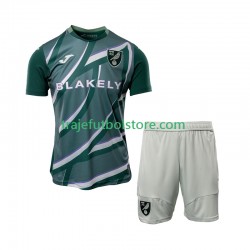 Camiseta 2ª Norwich City Niño 2025-2026 Manga Corta