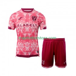 Camiseta 3ª Norwich City Niño 2025-2026 Manga Corta