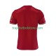 Camiseta 1ª Bayern de Múnich 125th Anniversary Red Hombre 2024-2025 Manga Corta