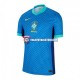 Camiseta 2ª Brasil Hombre Copa America 2024 Manga Corta