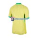Camiseta 1ª Brasil Hombre Copa America 2024 Manga Corta