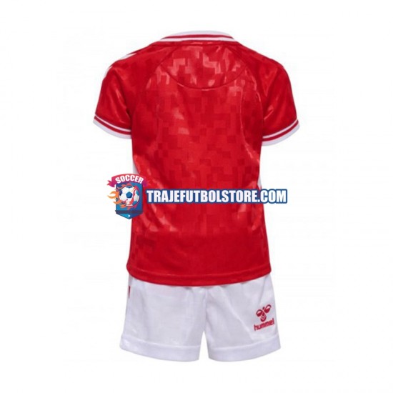 Camiseta 1ª Dinamarca Niño Euro 2024 Manga Corta