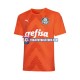 Camiseta 3ª Palmeiras Portero Hombre 2022-2023 Manga Corta