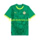 Camiseta 2ª Senegal Hombre 2025 Manga Corta