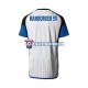 Camiseta 1ª Hamburger SV Hombre 2023-2024 Manga Corta