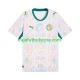 Camiseta 1ª Senegal Hombre 2026 2027 Manga Corta