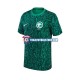 Camiseta 2ª Arabia Saudita Hombre Copa Mundial 2022 Manga Corta